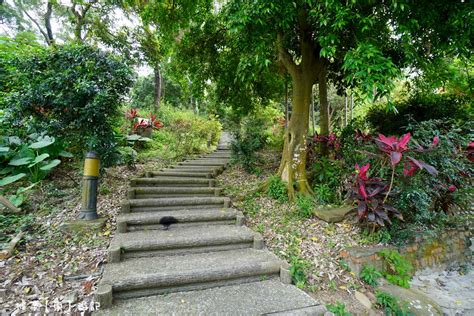 過龍脈|[雲林] 林內龍過脈森林登山步道 交通方便好停車 鳥居 風景 美食一。